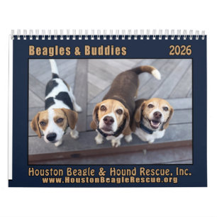 Beagles och kompisar 2026 Kalender