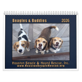 Beagles och kompisar Kalender 2026