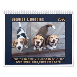 Beagles och kompisar Kalender 2026
