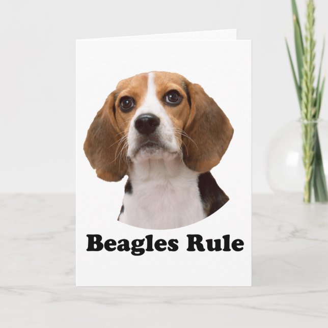 Beagles-regel Kort (Framsida)