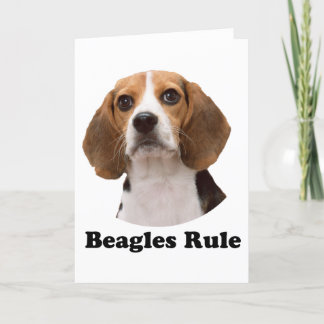 Beagles-regel Kort