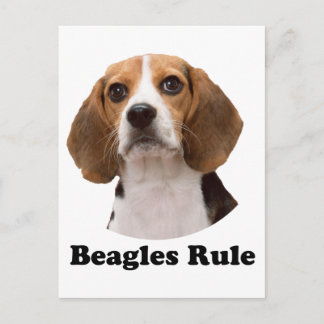 Beagles-regel Vykort
