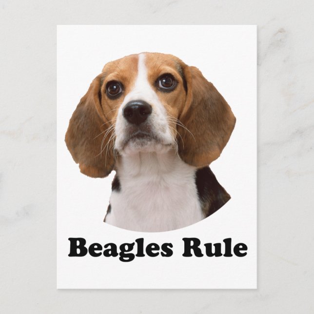 Beagles-regel Vykort (Framsida)