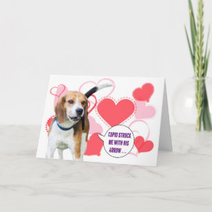 Beaglevalentin kort för dag