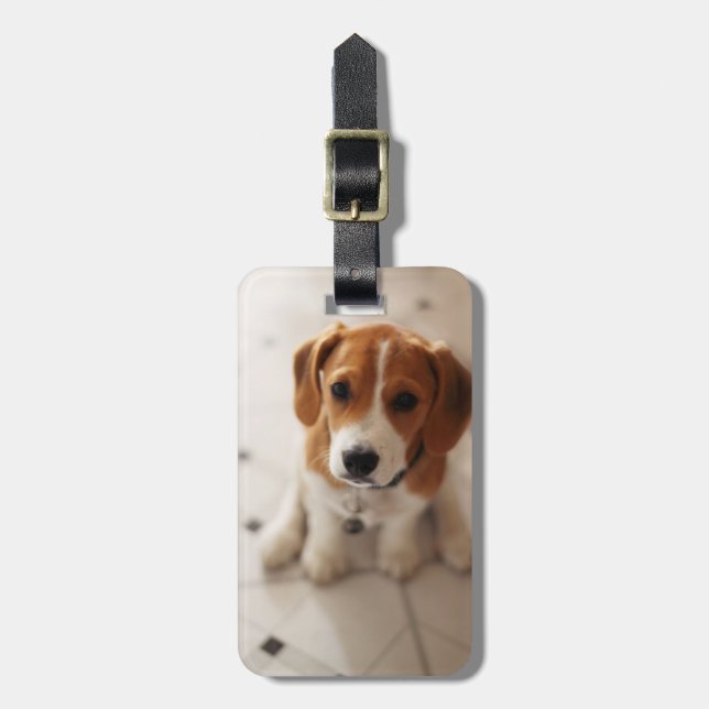 Beaglevalp 2 bagagebricka (Vertikal Framsida)