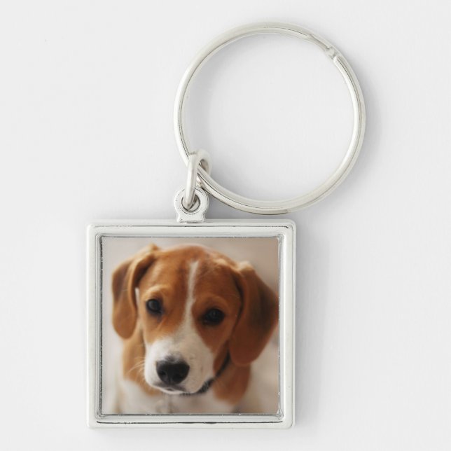 Beaglevalp 2 fyrkantig silverfärgad nyckelring (Framsidan)
