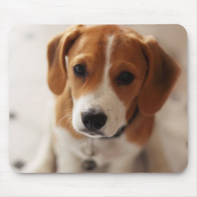 Beaglevalp 2 musmatta (Framsidan)