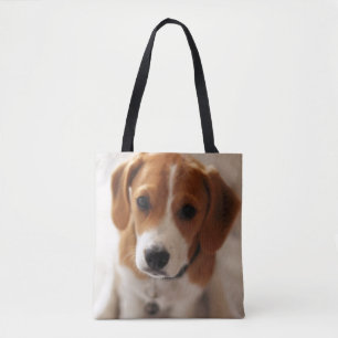 Beaglevalp 2 tygkasse
