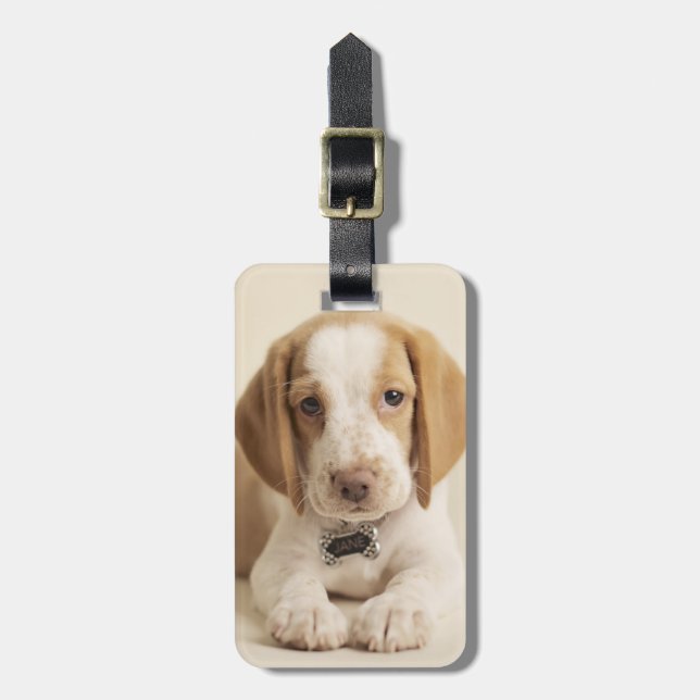 Beaglevalp Bagagebricka (Vertikal Framsida)