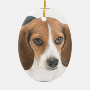 "Beaglevalp ", Julgransprydnad Keramik