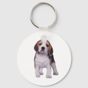 Beaglevalp Keychain Nyckelring