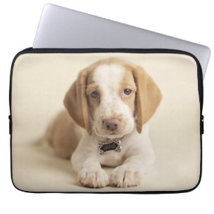 Beaglevalp Laptop Fodral