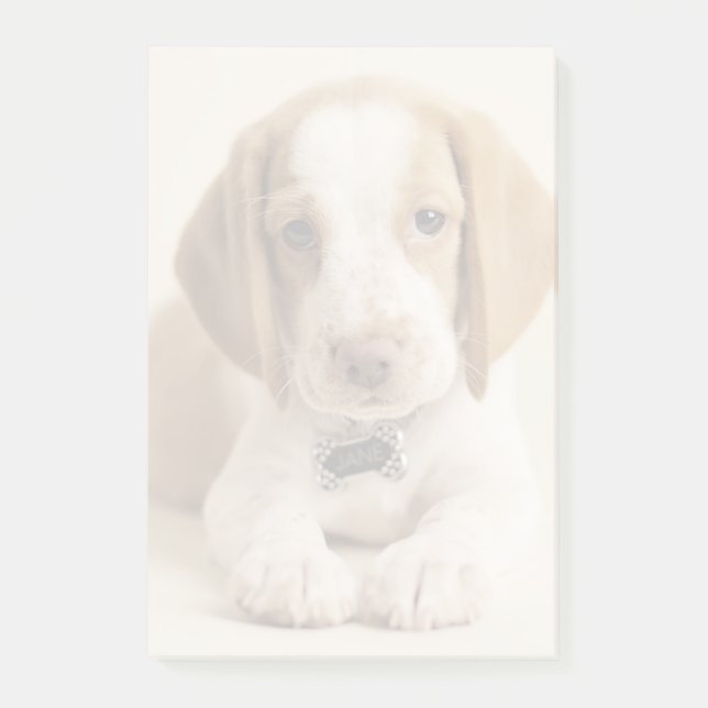 Beaglevalp Post-it Block (Framsida)