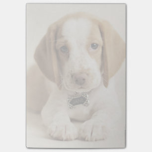 Beaglevalp Post-it Block