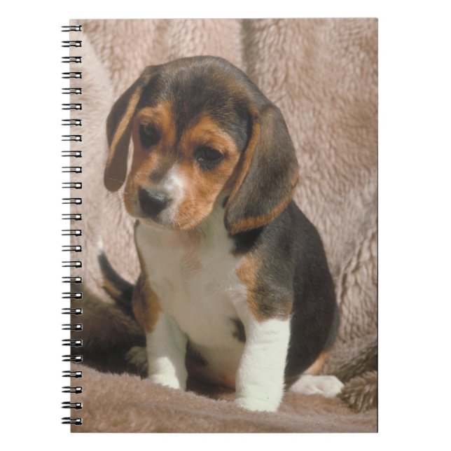 Beaglevalpanteckningsbok Anteckningsbok Med Spiral (Framsidan)