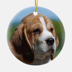 Beaglevalpprydnad Julgransprydnad Keramik