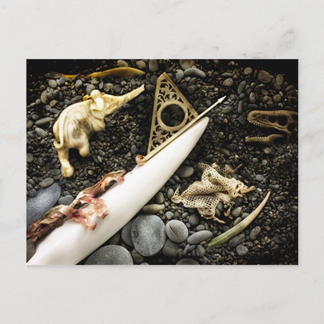 Beaktandet Vykort (Framsida)