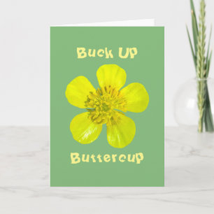 Beaming Butterkoppsblomma - Buck upp Butterkoppen. Kort