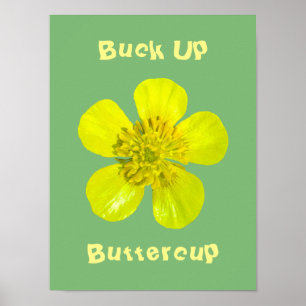 Beaming Butterkoppsblomma - Buck upp Butterkoppen. Poster