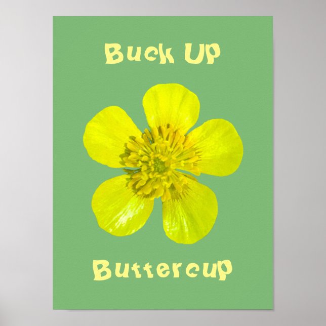 Beaming Butterkoppsblomma - Buck upp Butterkoppen. Poster (Framsidan)
