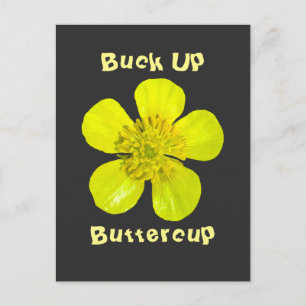Beaming Butterkoppsblomma - Buck upp Butterkoppen. Vykort