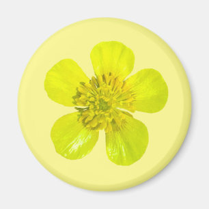 Beaming Butterkoppsblomma - genomskinlig. Magnet