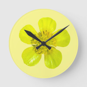 Beaming Butterkoppsblomma - genomskinlig. Rund Klocka