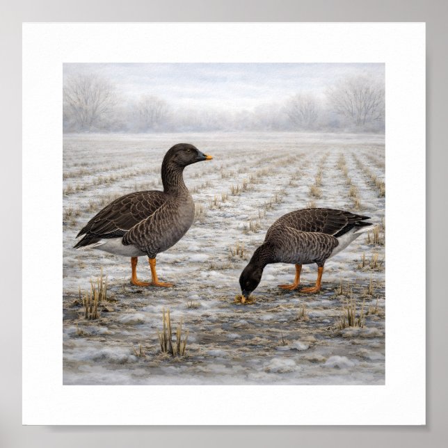 Bean Geese in a Winter Field – Japanese Wild Bird Poster (Framsidan)