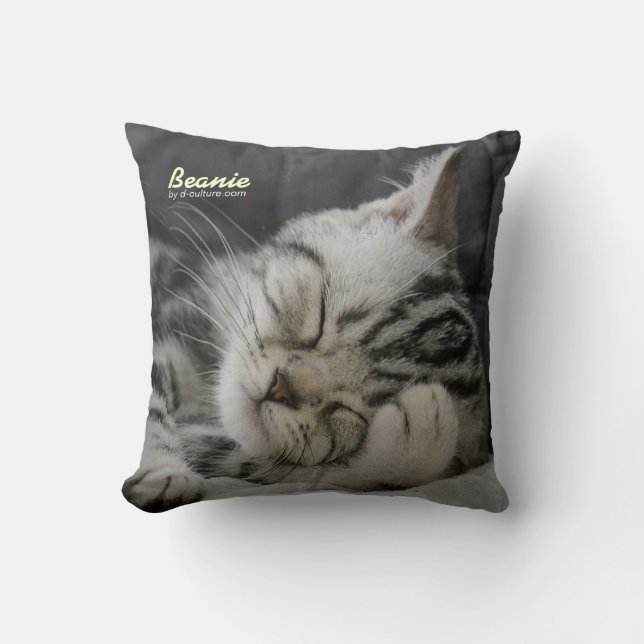 Beanien kudder kudde (Framsida)