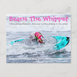 Beans Surfdog Vykort