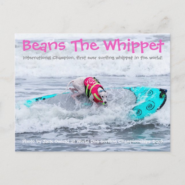 Beans Surfdog Vykort (Framsida)