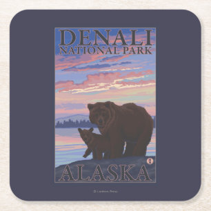 Bear and Unge - Denali National Park, Alaska Underlägg Papper Kvadrat