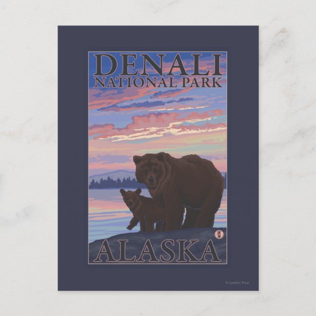 Bear and Unge - Denali National Park, Alaska Vykort (Framsida)