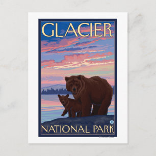 Bear and Unge - Glacier National Park, MT Vykort