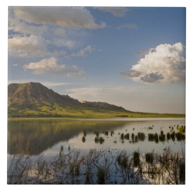 Bear Butte reflekteras in i Bear Butte Lake nära Kakelplatta (Framsidan)