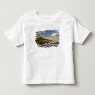 Bear Butte reflekteras in i Bear Butte Lake nära Tee Shirt