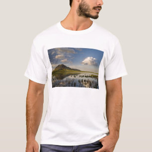 Bear Butte speglas i Bear Butte Lake nära T Shirt