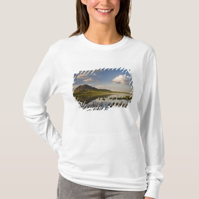 Bear Butte speglas i Bear Butte Lake nära Tee (Framsida)