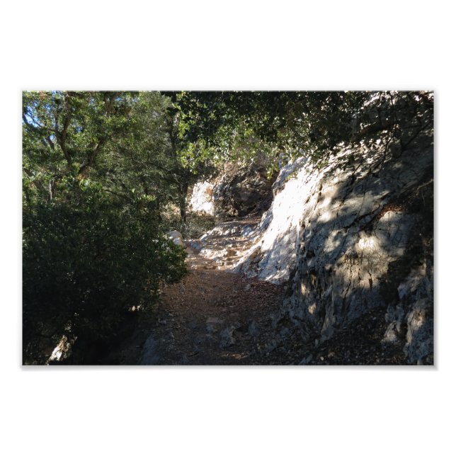 Bear Canyon Campground Fototryck (Framsidan)