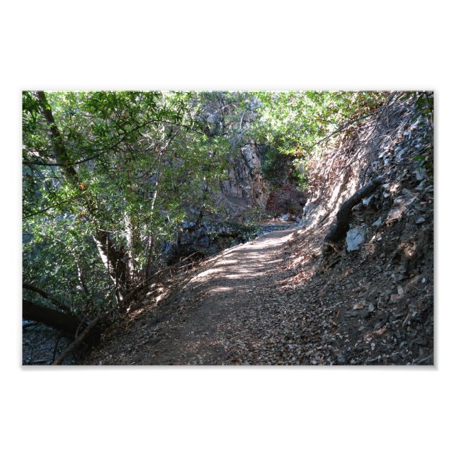 Bear Canyon Campground Fototryck (Framsidan)
