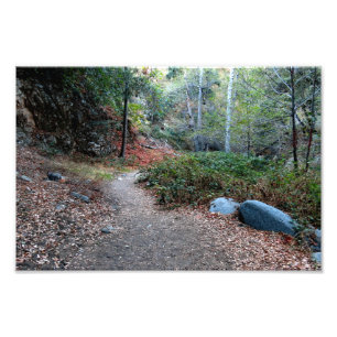 Bear Canyon Campground Fototryck