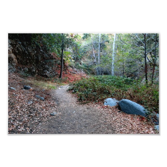 Bear Canyon Campground Fototryck (Framsidan)