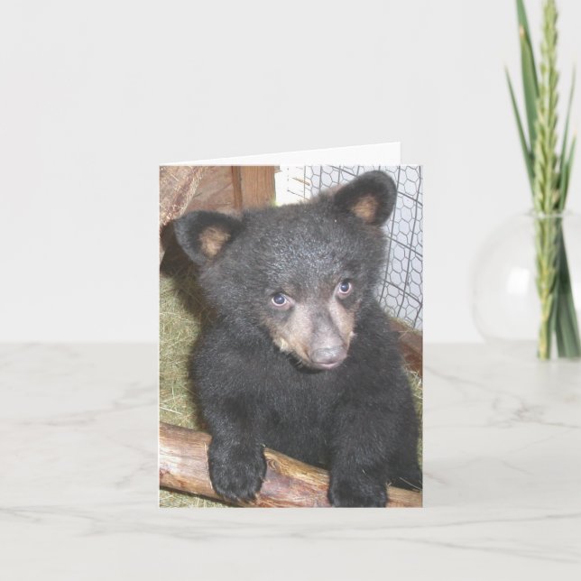 Bear Cub Note Card Kort (Framsida)