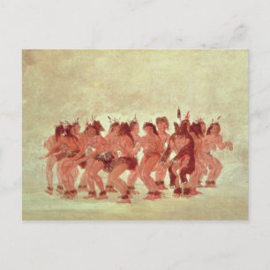 Bear Dance Vykort
