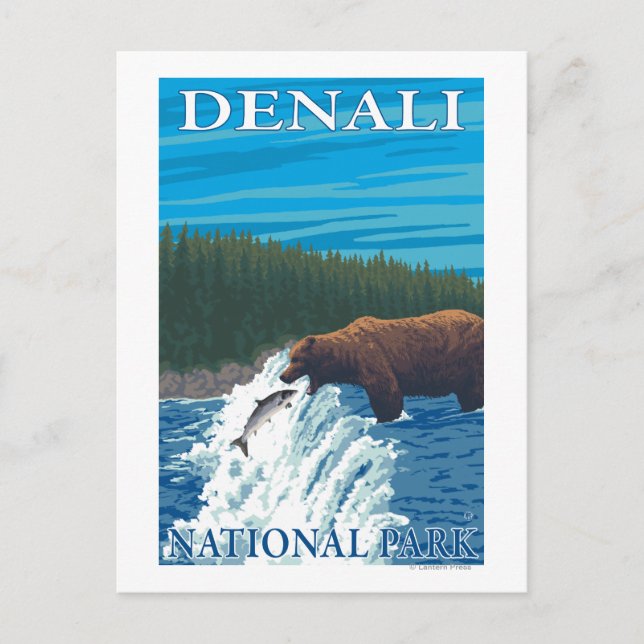 Bear Fishing in River - Denali National Park Vykort (Framsida)