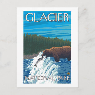 Bear Fishing in River - Glacier National Park Vykort