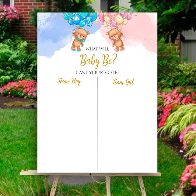 Bear Gender visar Boy eller Girl-diagram Poster (Skapare uppladdad)