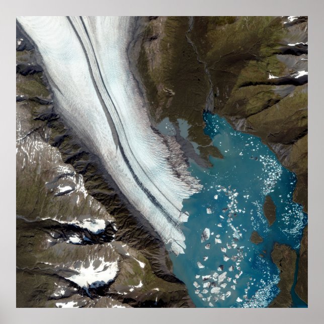 Bear Glacier Alaska Poster (Framsidan)