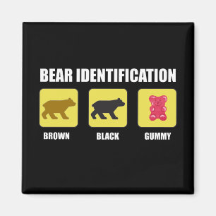 Bear Identification Funny Magnet