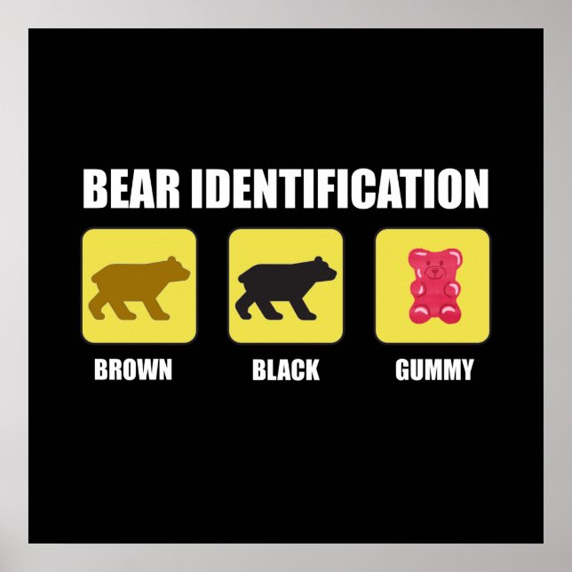 Bear Identification Funny Poster (Framsidan)